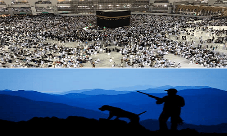 حٌكم الصيد في الحَرم